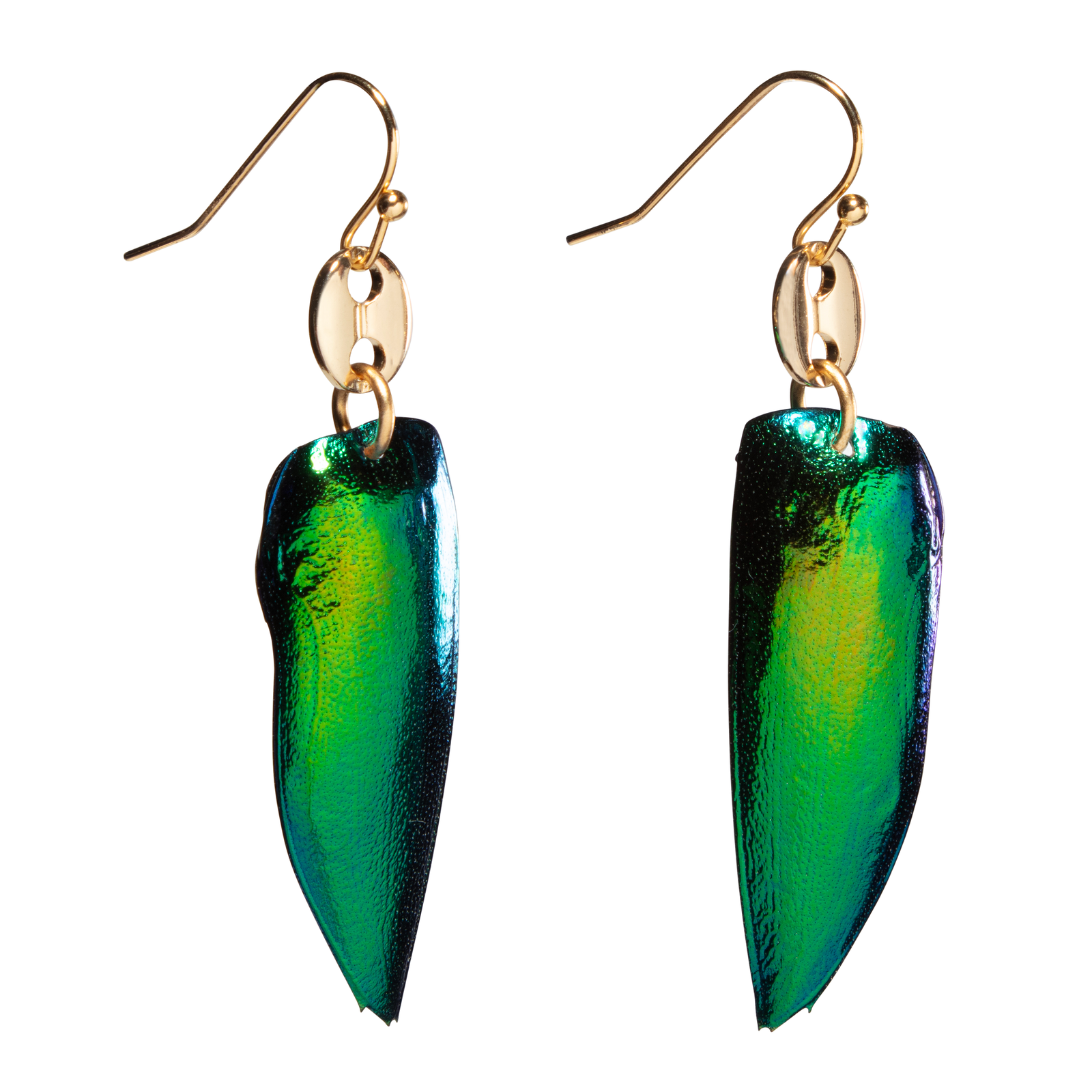 Jewel Beetle Wing With Gold Gucci Style Link Earring